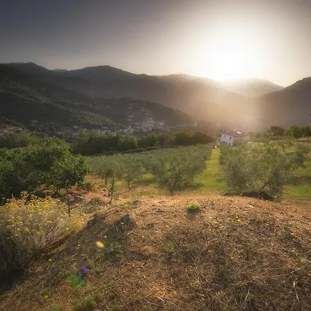 Sarl Aurore-Vacances Vico Exterior foto
