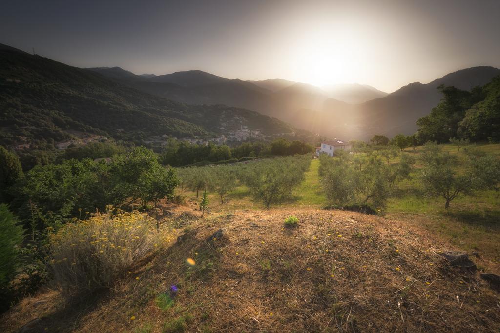 Sarl Aurore-vacances Holiday home Vico